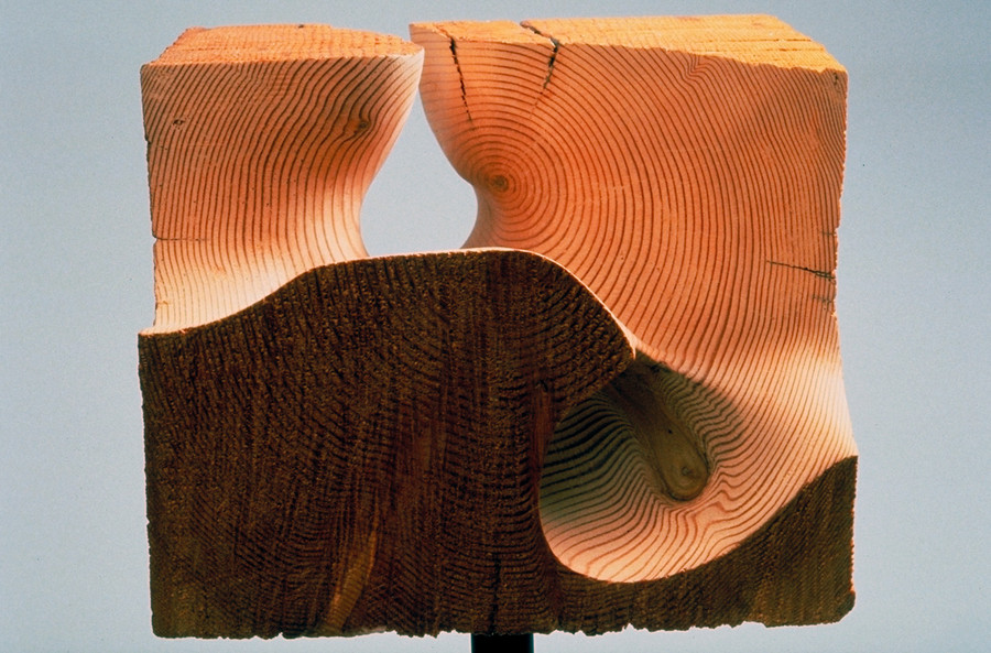 Canyonland (detail), Douglas fir, steel, acrylic plastic, 10 x 21 x 12 in (WxHxD)